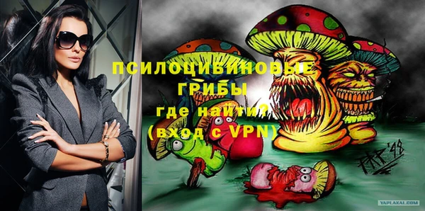 молекула духа Зеленодольск