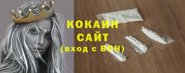 гашик Зерноград