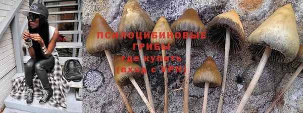 бошки Зеленокумск