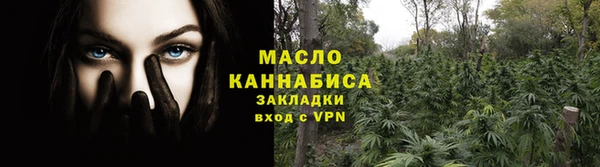 молекула духа Зеленодольск