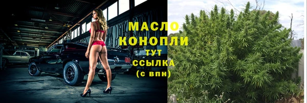 гашик Зерноград