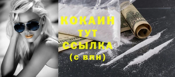 гашик Зерноград