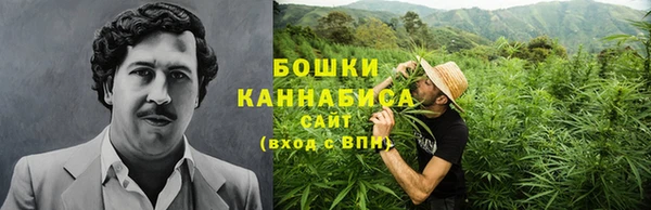 молекула духа Зеленодольск