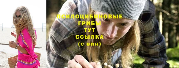 гашик Зерноград