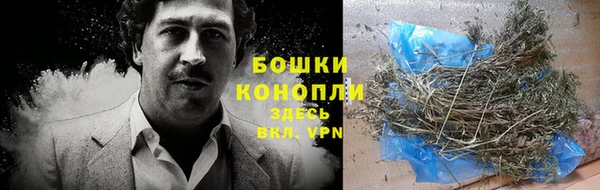 молекула духа Зеленодольск