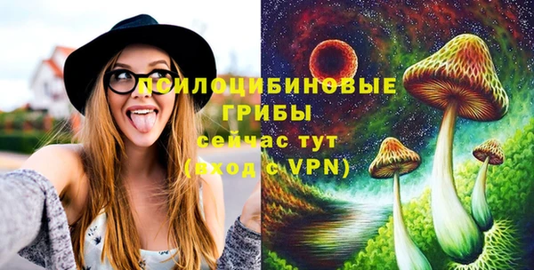 молекула духа Зеленодольск