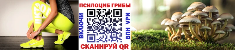 Купить закладки  Верхнеуральск  Галлюциногенные грибы MAGIC MUSHROOMS 